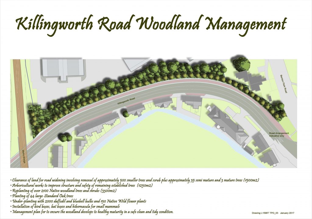 Diagram of Killingworth road showing proposed re-planting schemes.