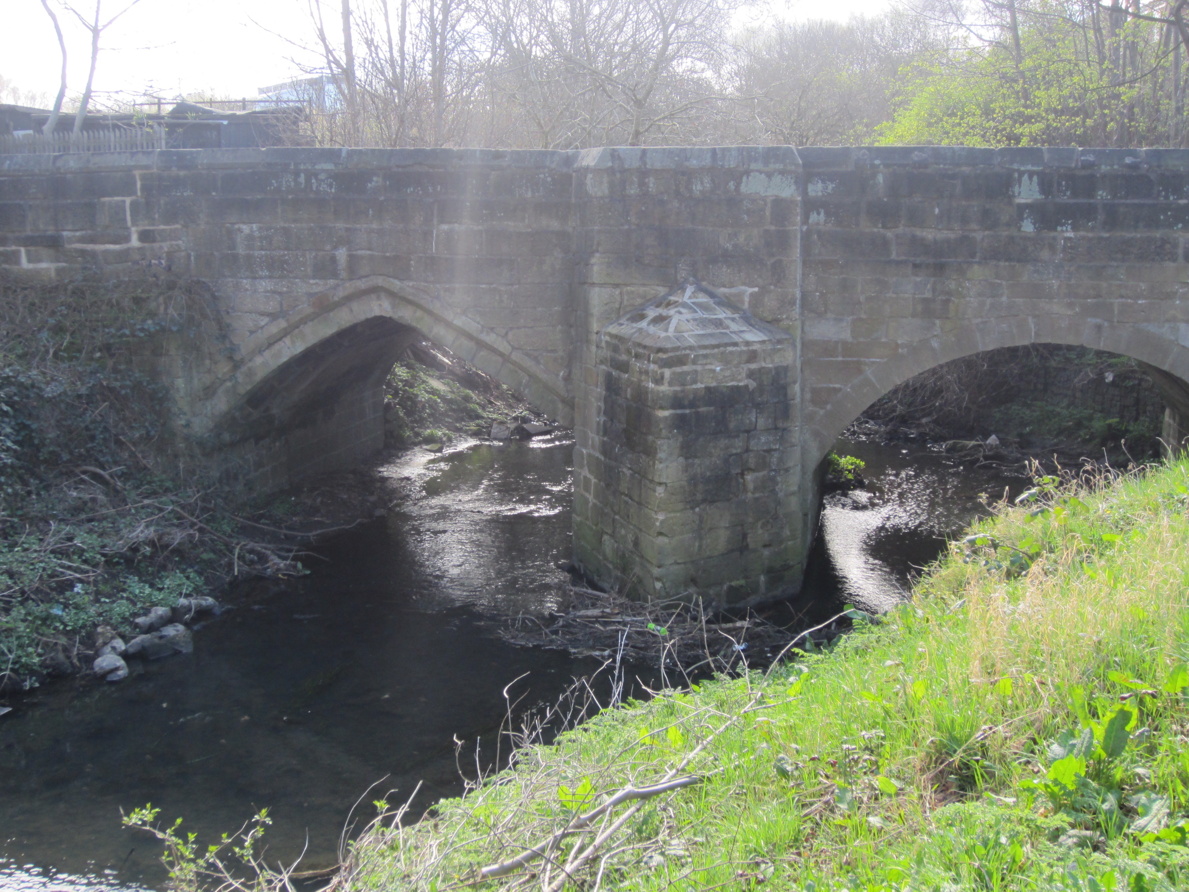 Salter's Bridge